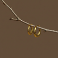 Mara Hoops quilted earrings hanging from natural tree branch – textured earrings in crescent hoop earrings silhouette, chunky earrings in gold hoop earrings finish